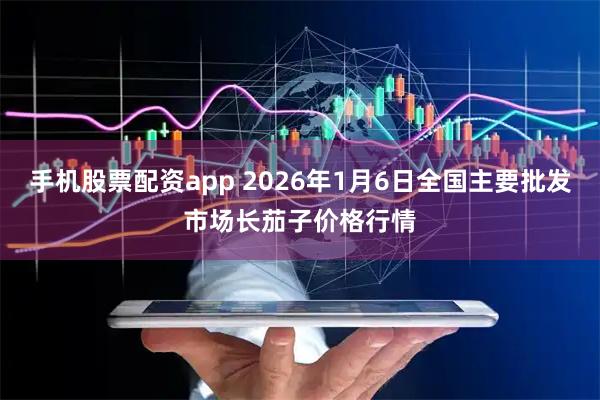 手机股票配资app 2026年1月6日全国主要批发市场长茄子价格行情